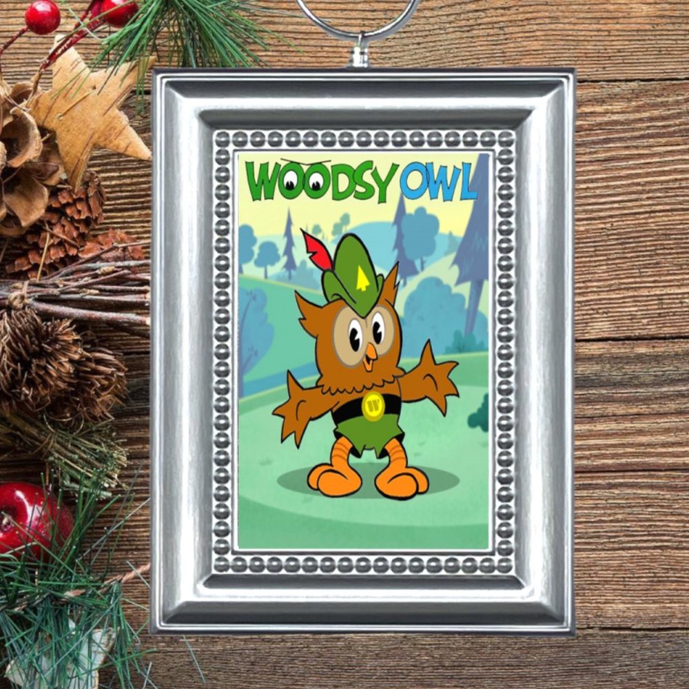Woodsy Owl Give A Hoot Don't Pollute Retro Nostalgic Christmas Tree Ornament
